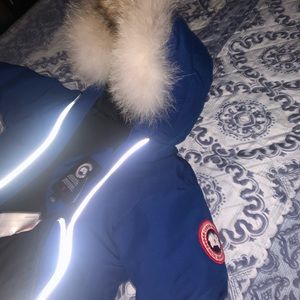 Canada goose (reflective)
